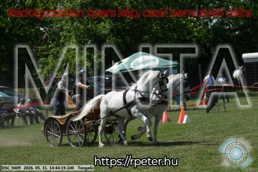 Mintakép 20260531-2532