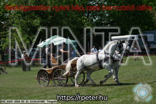 Mintakép 20260531-2533