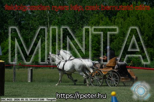 Mintakép 20260531-2539