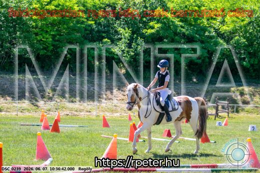 Mintakép 20260607-227