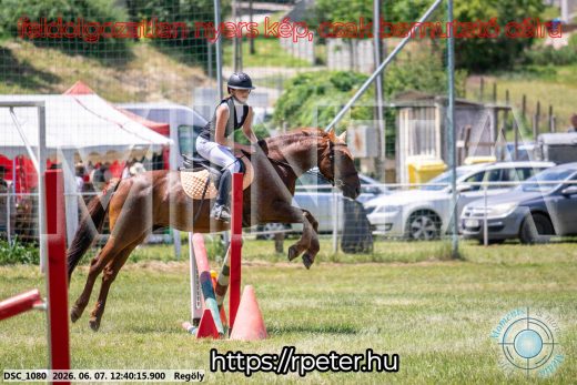Mintakép 20260607-249