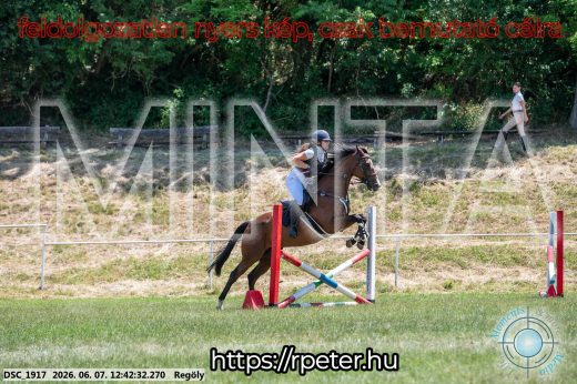 Mintakép 20260607-673