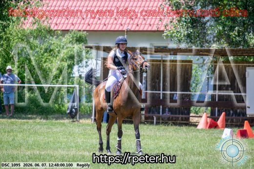 Mintakép 20260607-685