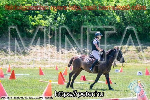 Mintakép 20260607-1000