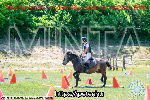 Mintakép 20260607-1001