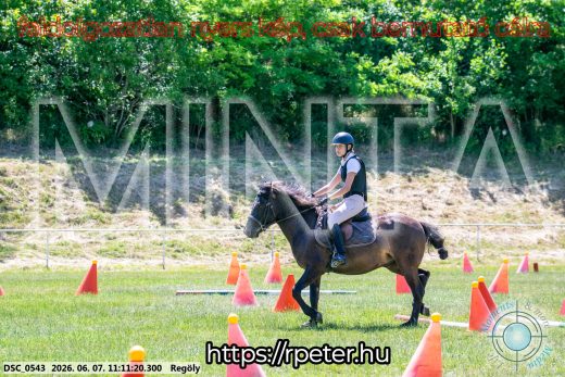 Mintakép 20260607-1003