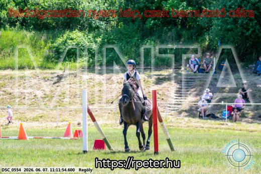 Mintakép 20260607-1013