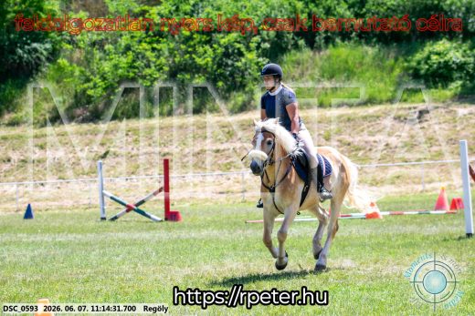 Mintakép 20260607-1041