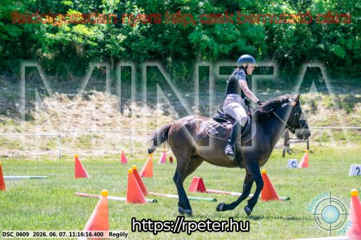 Mintakép 20260607-1054