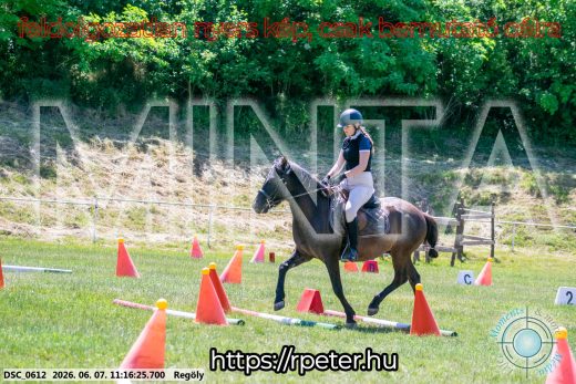 Mintakép 20260607-1056