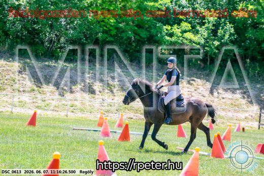 Mintakép 20260607-1057