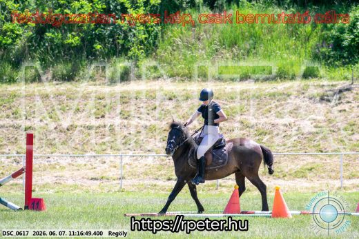 Mintakép 20260607-1060