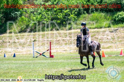 Mintakép 20260607-1066