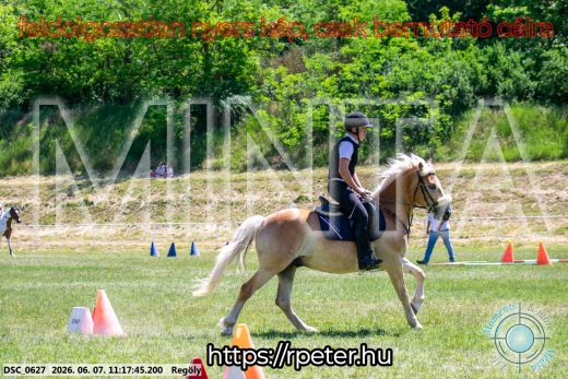 Mintakép 20260607-1069