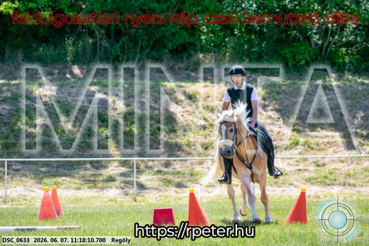 Mintakép 20260607-1075
