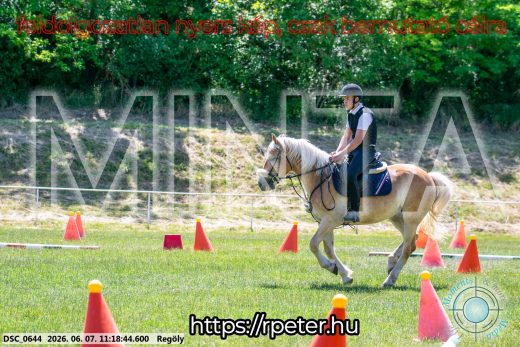 Mintakép 20260607-1082