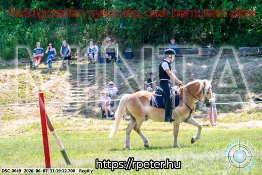 Mintakép 20260607-1087