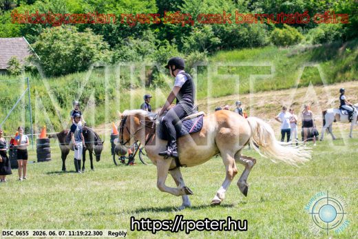 Mintakép 20260607-1091