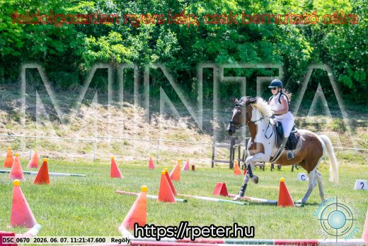 Mintakép 20260607-1105