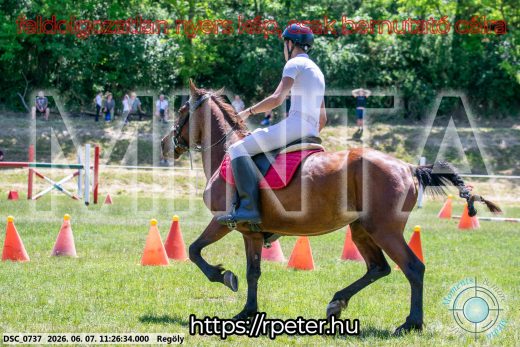 Mintakép 20260607-1155