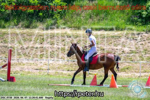 Mintakép 20260607-1156