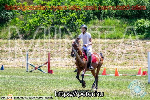 Mintakép 20260607-1161