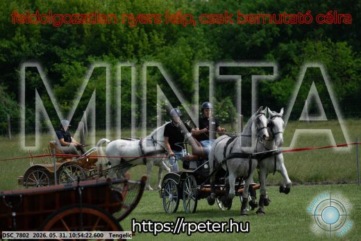 Mintakép 20260531-2284