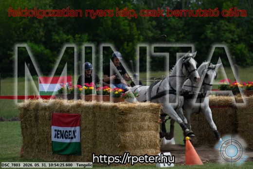 Mintakép 20260531-2285