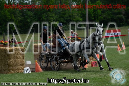 Mintakép 20260531-2288