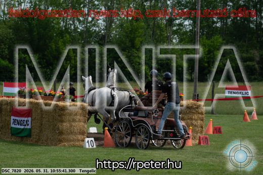 Mintakép 20260531-2299