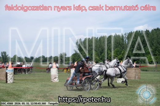 Mintakép 20260531-2312