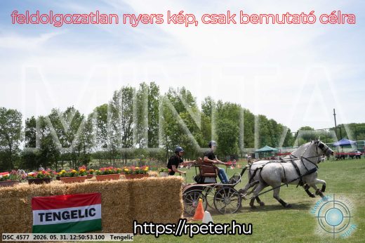 Mintakép 20260531-2319