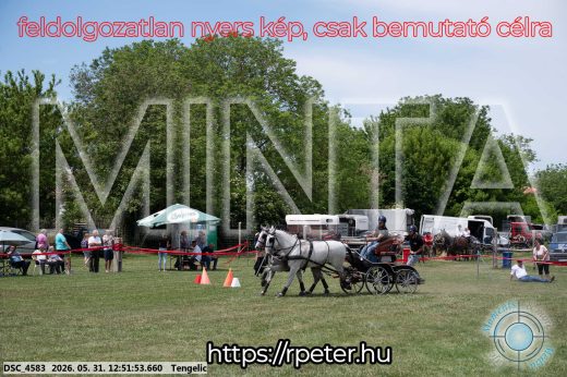 Mintakép 20260531-2331