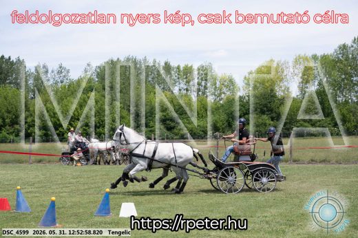 Mintakép 20260531-2350