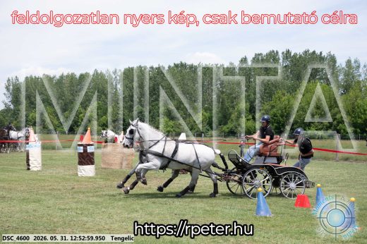 Mintakép 20260531-2351