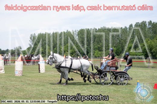Mintakép 20260531-2352