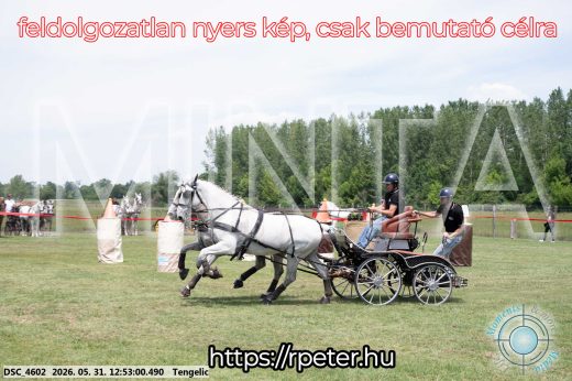 Mintakép 20260531-2546