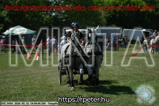 Mintakép 20260531-2553