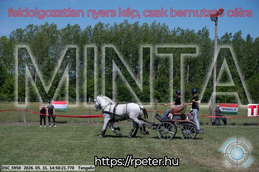 Mintakép 20260531-2559