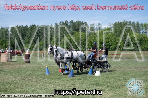 Mintakép 20260531-2563