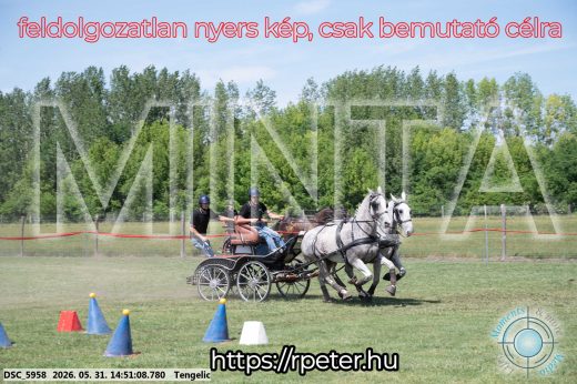 Mintakép 20260531-2565