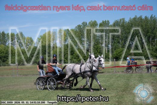 Mintakép 20260531-2566