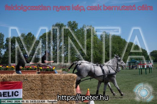 Mintakép 20260531-2568