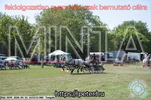 Mintakép 20260531-2575