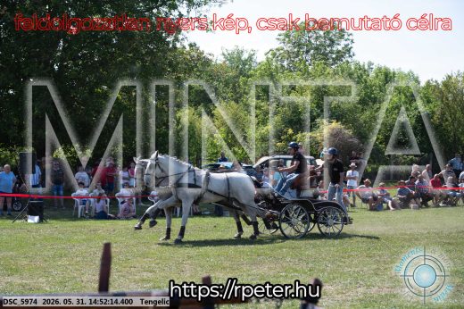 Mintakép 20260531-2579