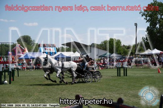 Mintakép 20260531-2581