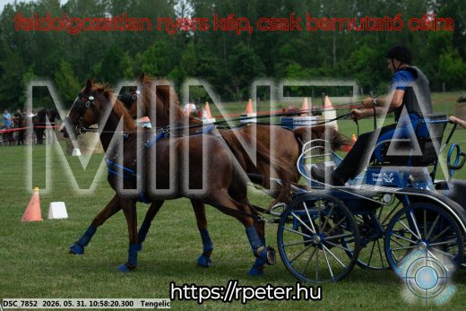 Mintakép 20260531-2598