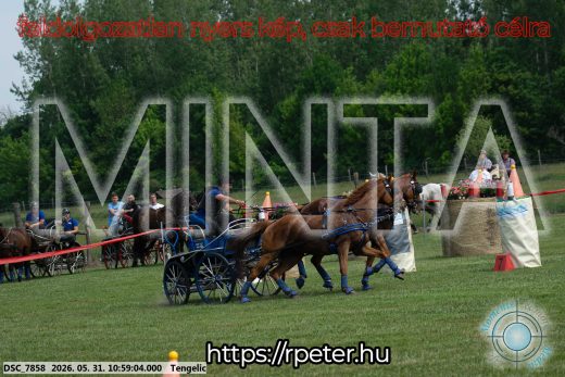 Mintakép 20260531-2604