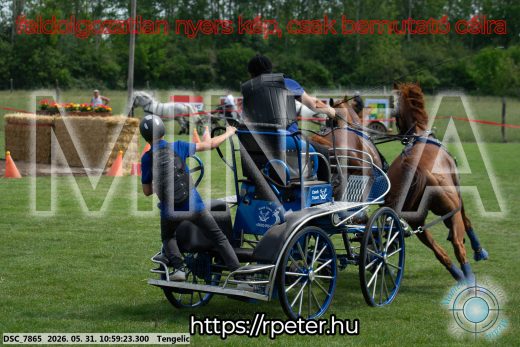 Mintakép 20260531-2611