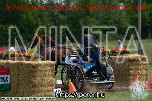 Mintakép 20260531-2614